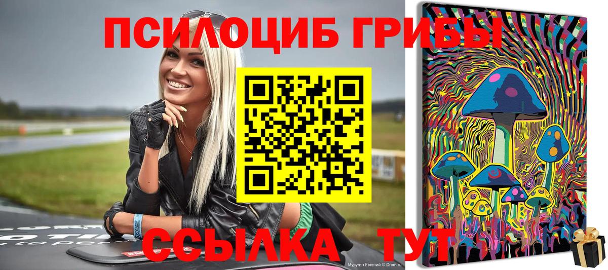 Галлюциногенные грибы прущие грибы  Вход с VPN  Луга 